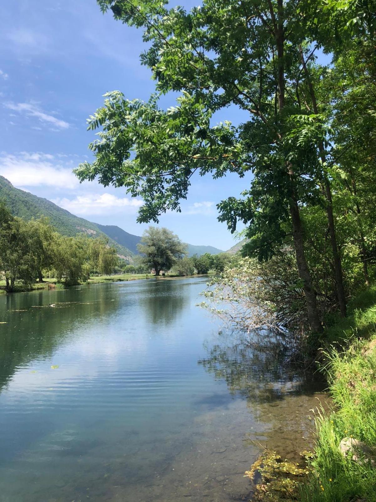 Fantastic Ground Floor Apartment Opposite Thermes Bagnères-de-Luchon Exteriör bild