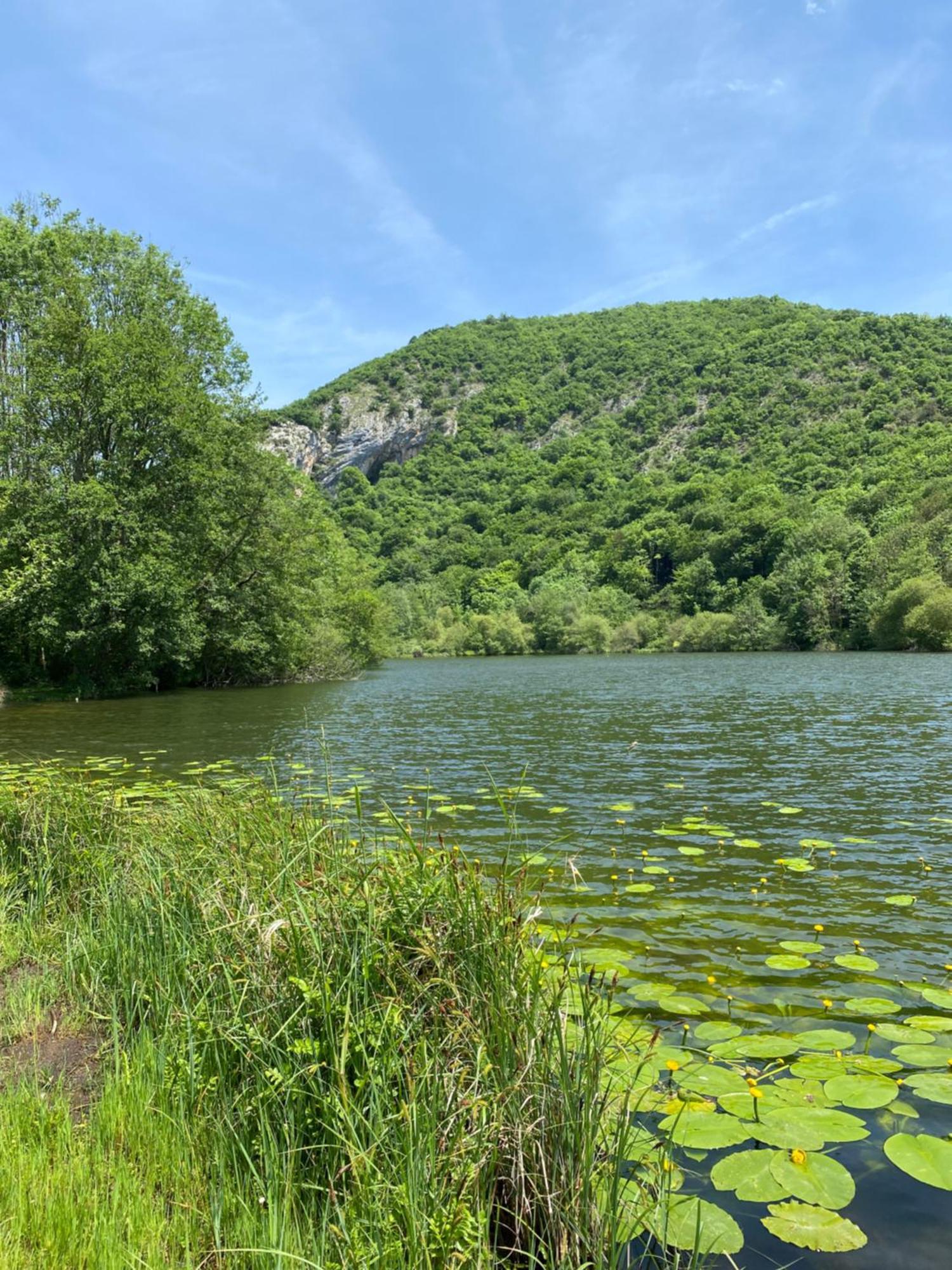 Fantastic Ground Floor Apartment Opposite Thermes Bagnères-de-Luchon Exteriör bild